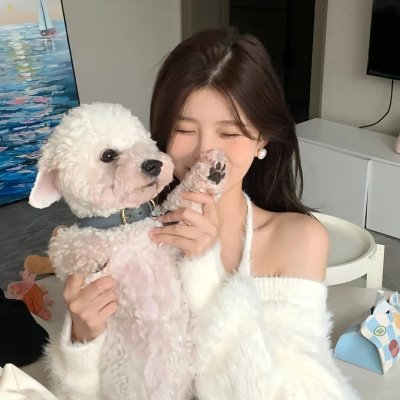 医生先生